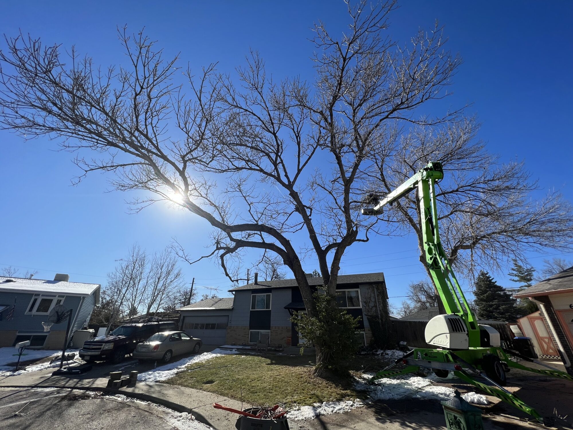 When Is Tree Trimming Season The Best Time To Trim Trees