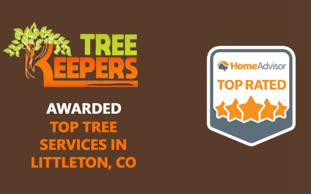We Won HomeAdvisor’s Top-Rated Badge for Tree Services in Littleton, CO