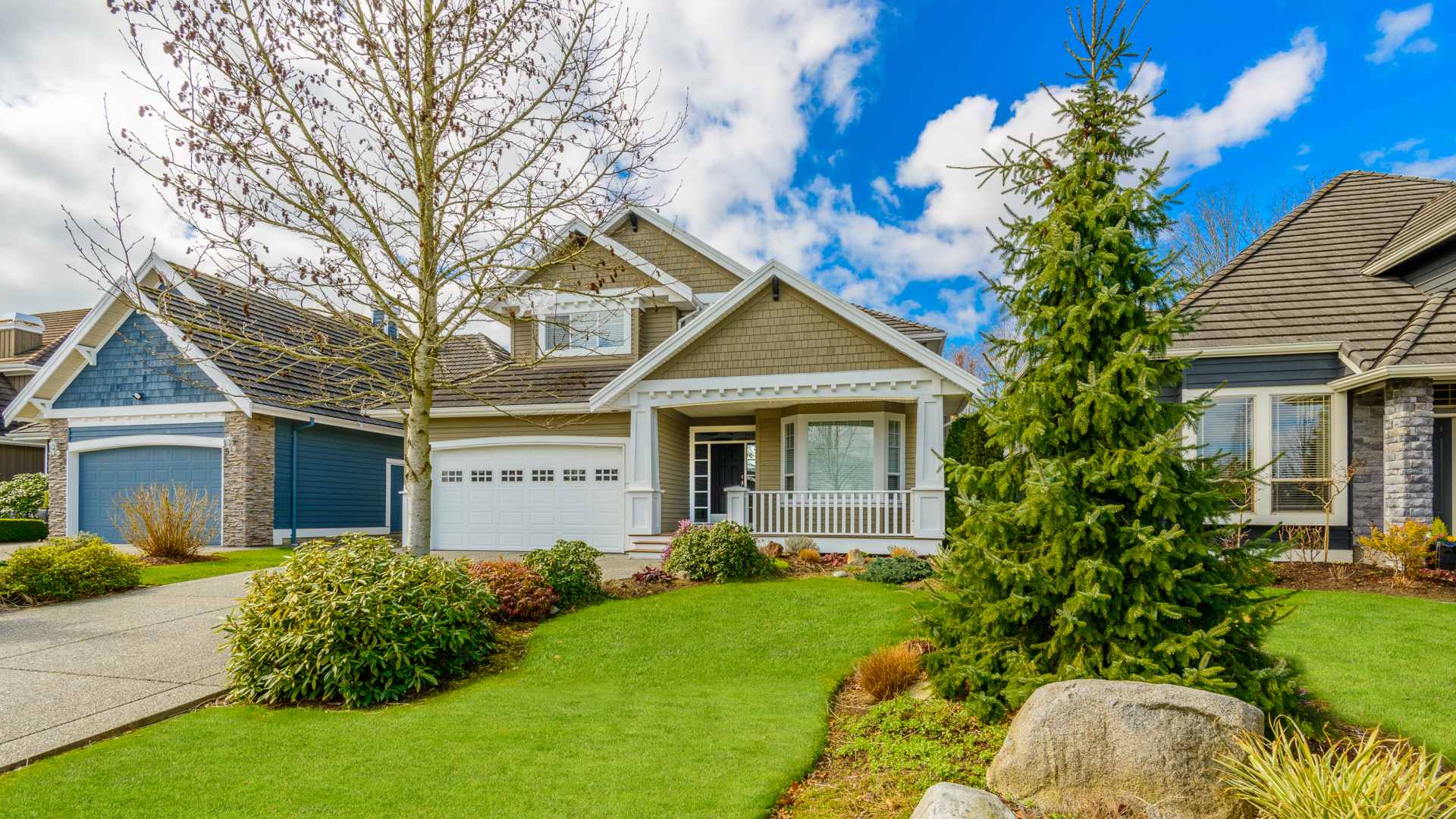 The 2 Most Effective Ways To Prevent Tree Diseases in Colorado Tree